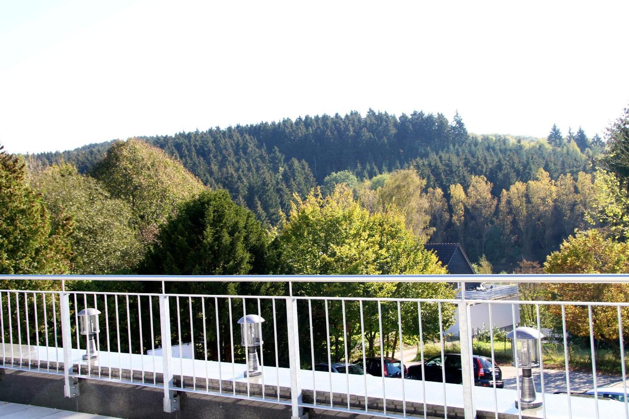 Zu Den Drei Linden Hotel Wermelskirchen Eksteriør billede