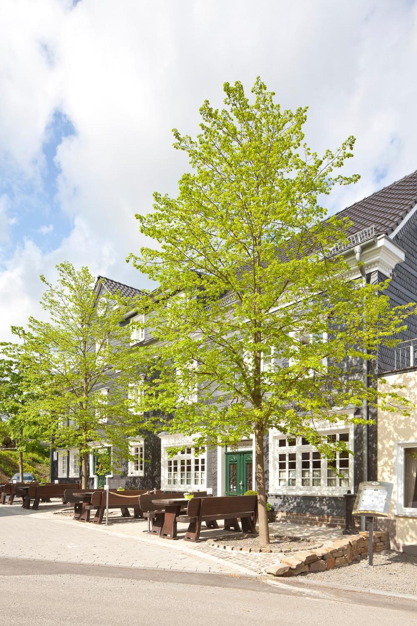 Zu Den Drei Linden Hotel Wermelskirchen Eksteriør billede